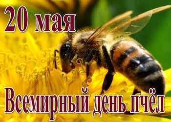 20 мая – Всемирный день пчёл