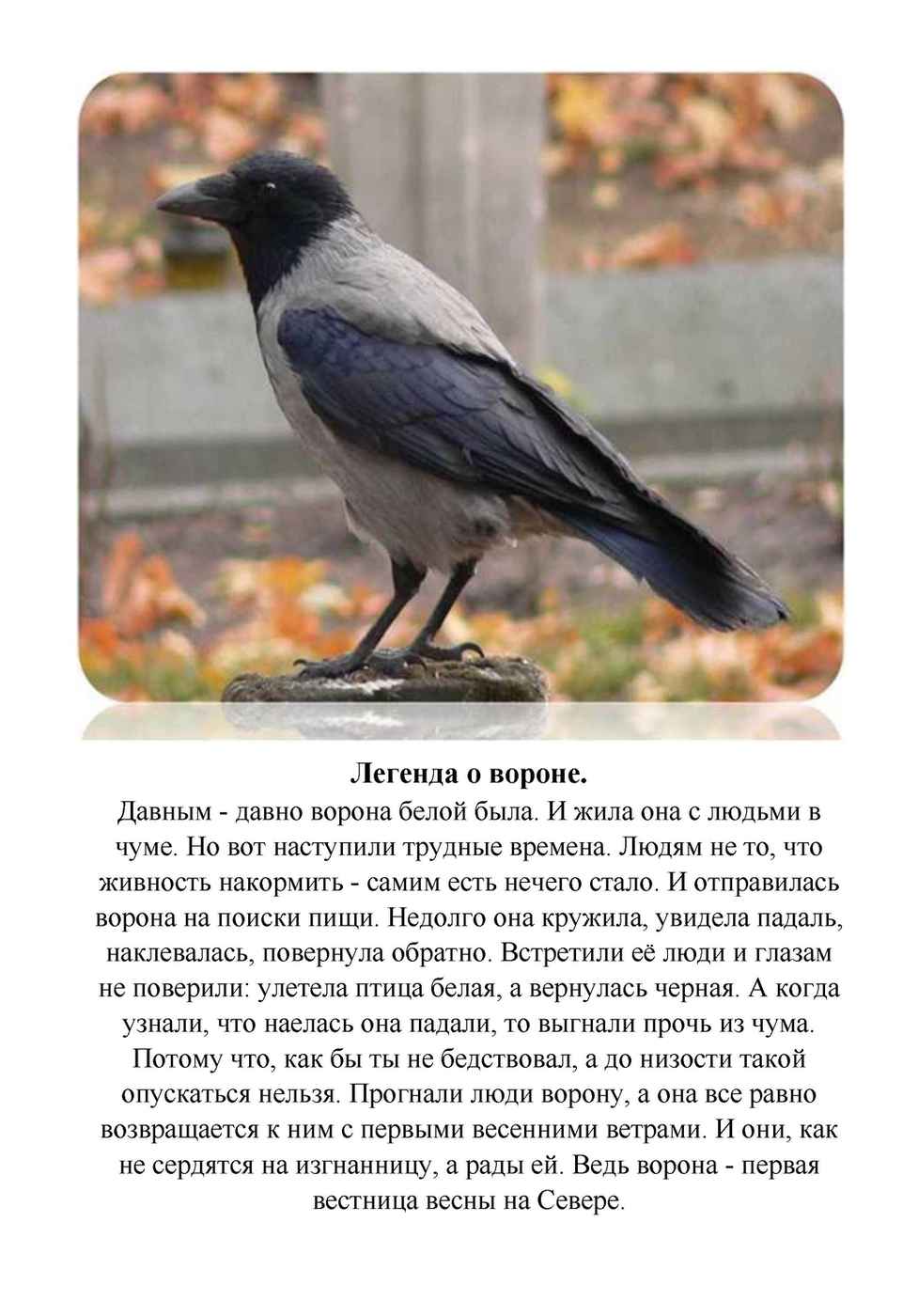 Легенда о вороне