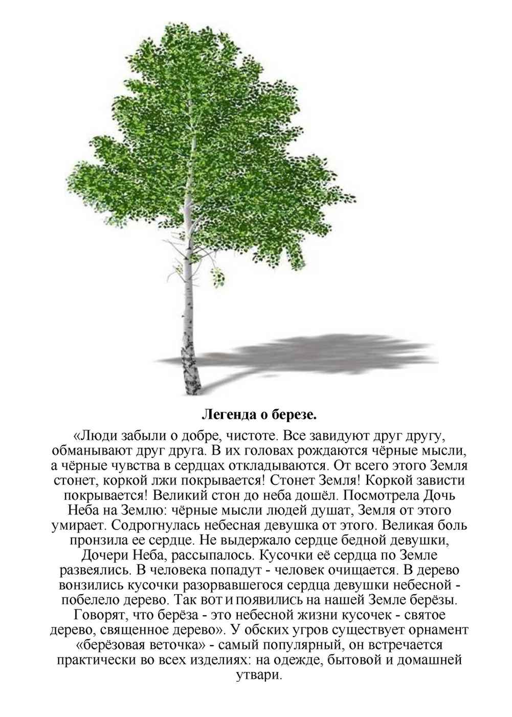 Легенда о березе